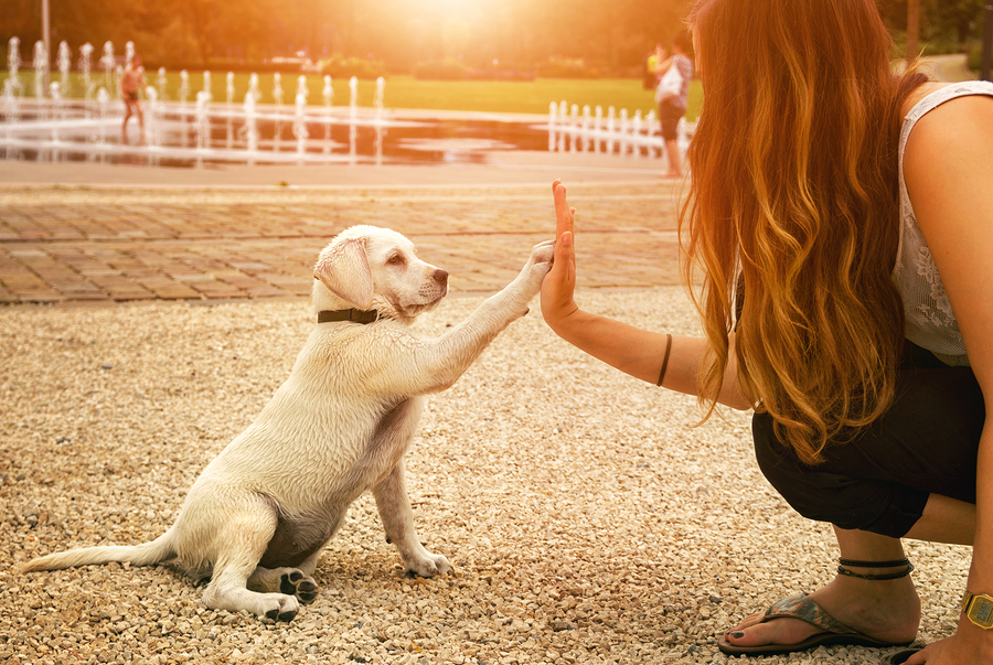 Pet Parent and Puppy