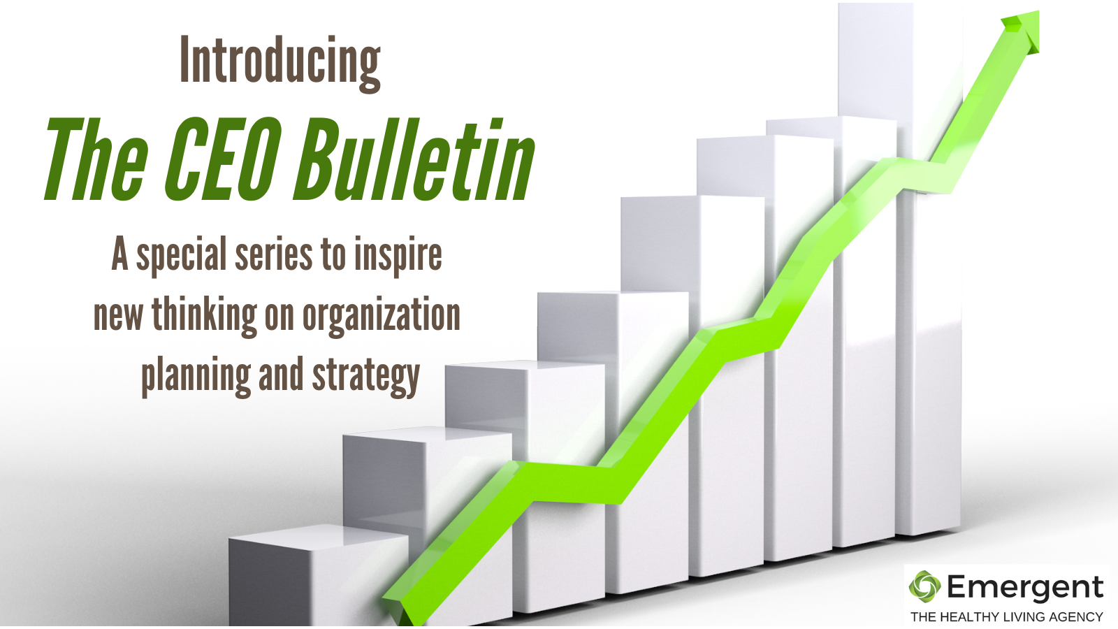 The CEO Bulletin